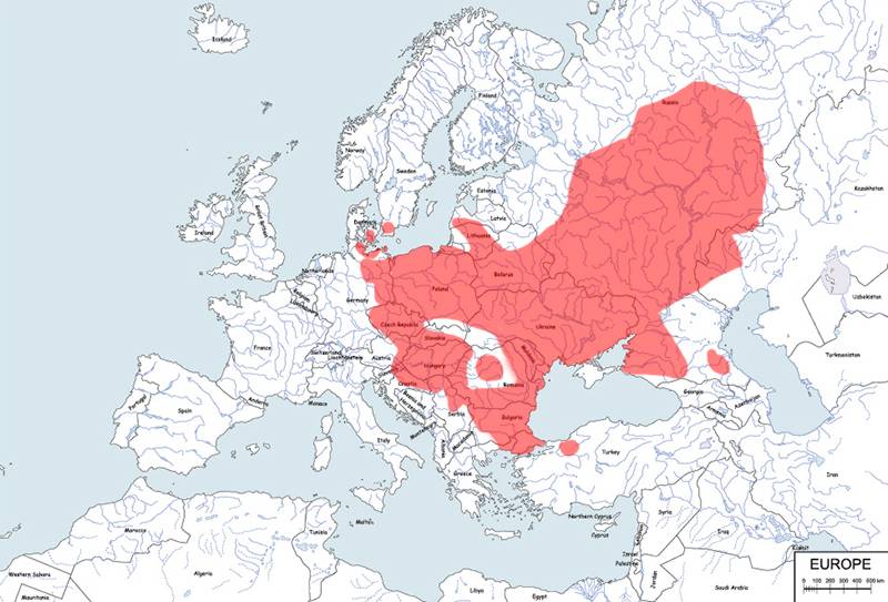 kumak nizinny - mapa