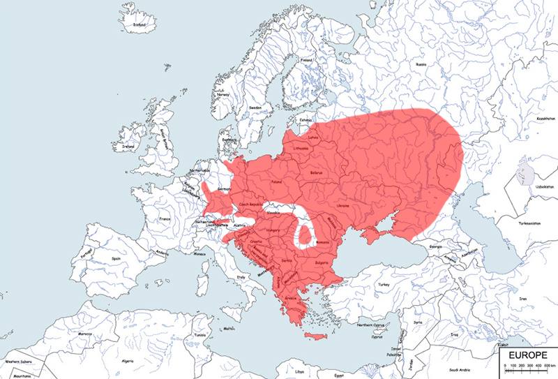 ropucha zielona - mapa