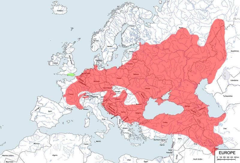 żaba śmieszka - mapa