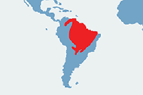 Chwytnica plamobrzucha - mapa występowania na świecie