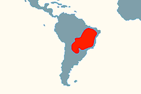 Gruboskórnik termitojad - mapa występowania na świecie