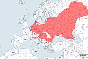 Grzebiuszka ziemna, huczek – mapa występowania na świecie