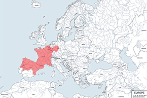 Pętówka babienica – mapa występowania na świecie