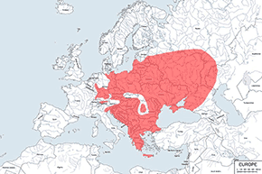 Ropucha zielona - mapa występowania na świecie
