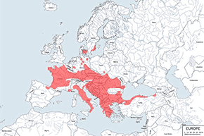 Żaba dalmatyńska - mapa występowania na świecie
