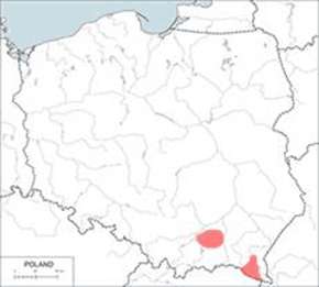 Żaba dalmatyńska - mapa występowania w Polsce
