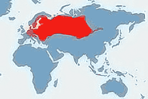 Żaba moczarowa – mapa występowania na świecie