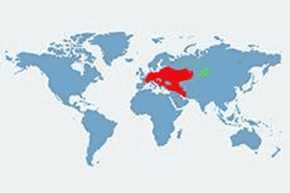 Żaba śmieszka – mapa występowania na świecie