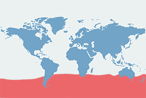 Albatros wędrowny – mapa występowania na świecie