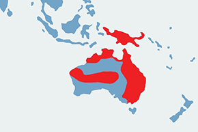 Altanniki - mapa występowania na świecie