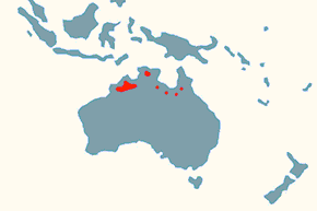 Amadyniec - mapa występowania na świecie