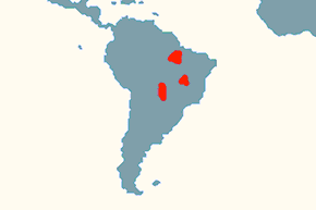 Modroara hiacyntowa - mapa występowania na świecie