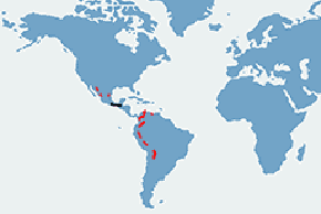 Ara zielona - mapa występowania na świecie