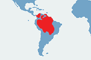 Ara zwyczajna, ararauna zwyczajna - mapa występowania na świecie