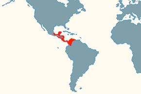 Arasari obrożny – mapa występowania na świecie