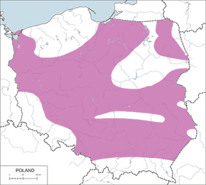 Bączek (zwyczajny) - mapa występowania w Polsce