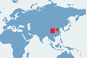 Bażant królewski - mapa występowania na świecie