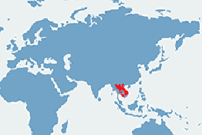 Kiściec syjamski – mapa występowania na świecie