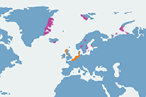 Bernikla białolica - mapa występowania na świecie