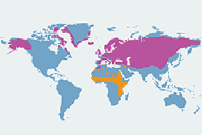 Białorzytka (zwyczajna) - mapa występowania na świecie