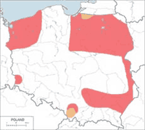Bielik (zwyczajny) – mapa występowania w Polsce