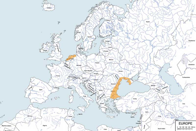 bernikla rdzawoszyja - mapa