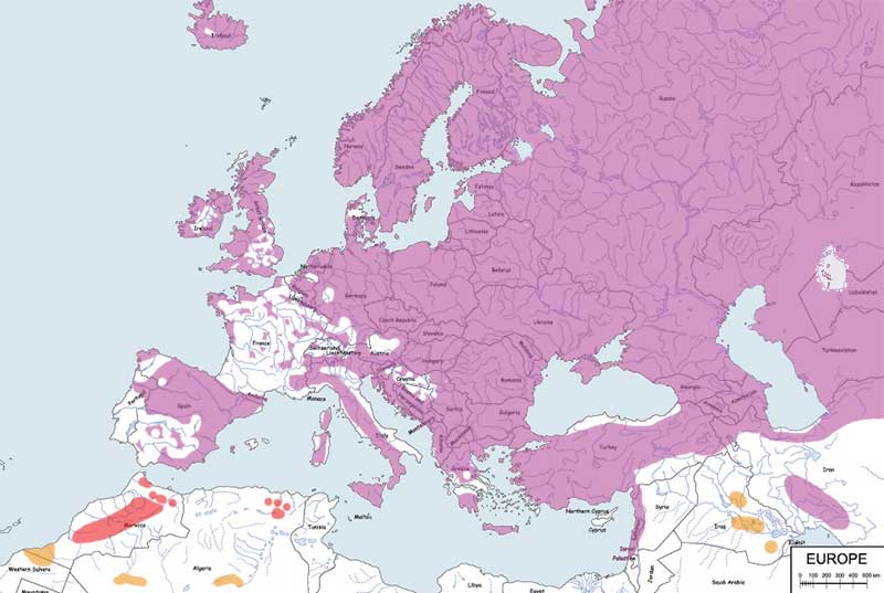 białorzytka (zwyczajna) - mapa