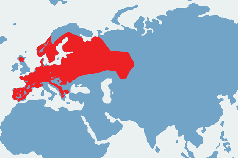 czubatka (europejska) - mapa