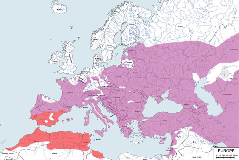 dudek - mapa