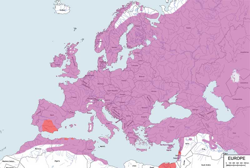 dymówka - mapa