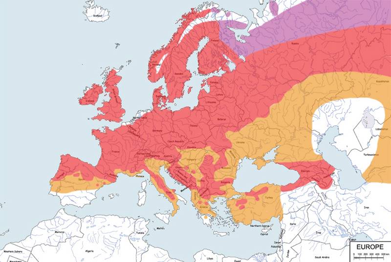 gil (zwyczajny) - mapa