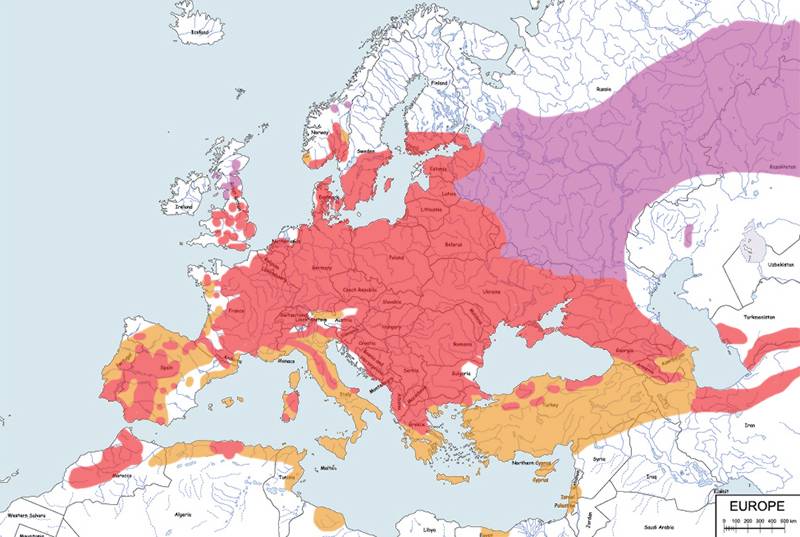 grubodziób (zwyczajny) - mapa