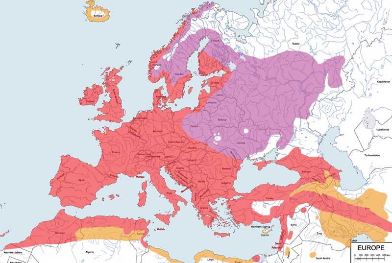 kos - mapa
