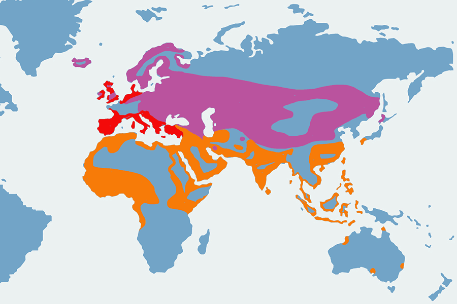 krwawodziób - mapa