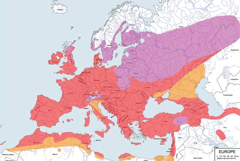 makolągwa (zwyczajna) - mapa
