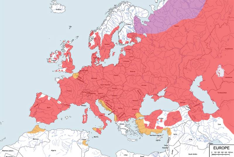 mazurek - mapa