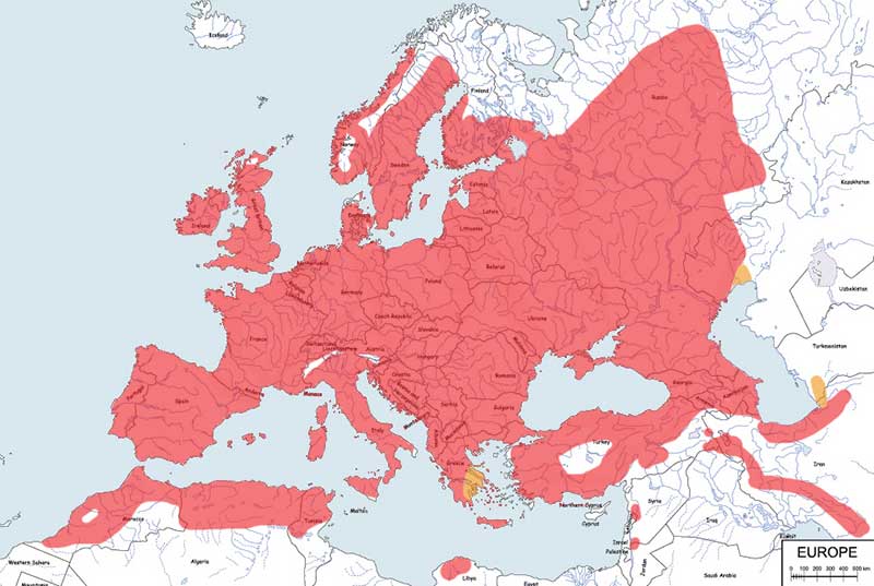 modraszka (zwyczajna) - mapa
