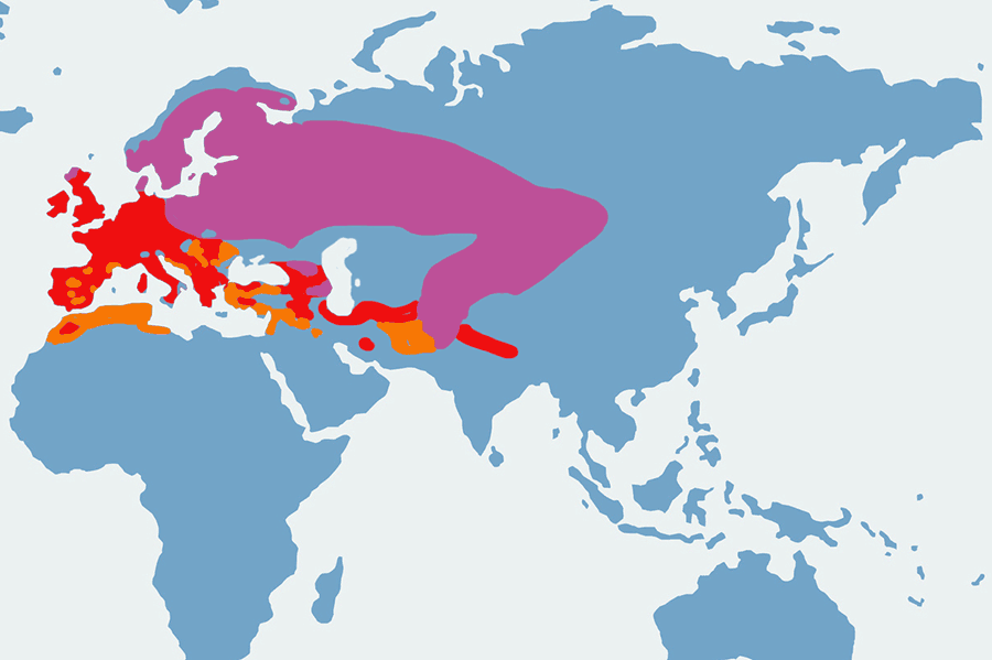 paszkot - mapa