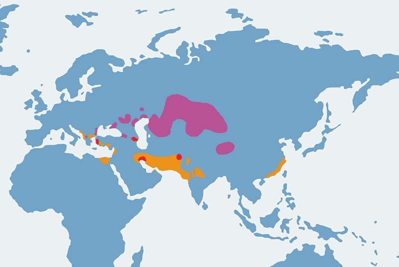 pelikan kędzierzawy - mapa