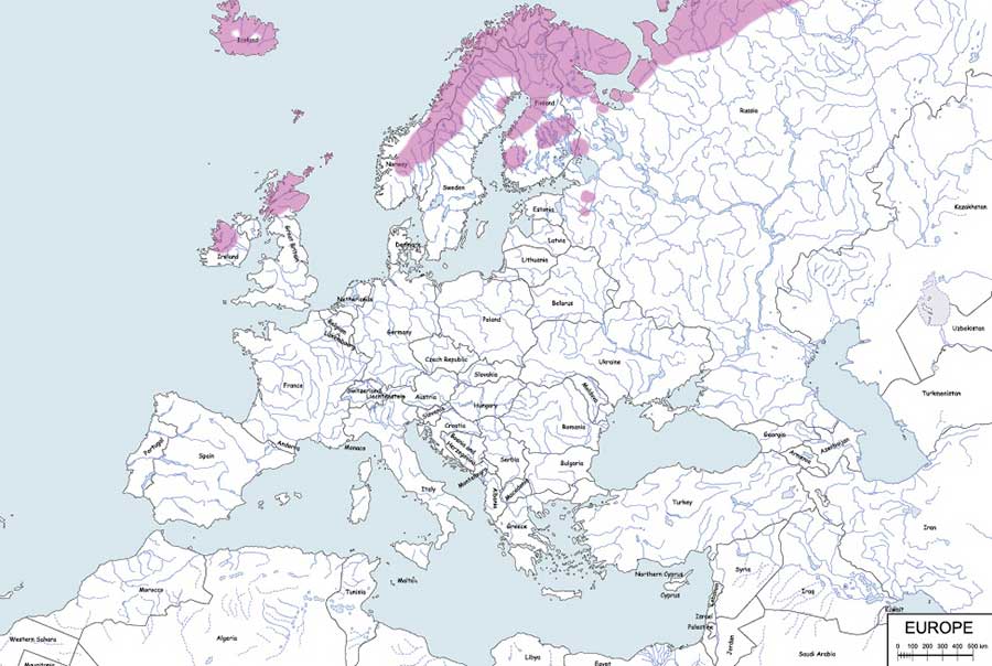 płatkonóg szydłodzioby - mapa