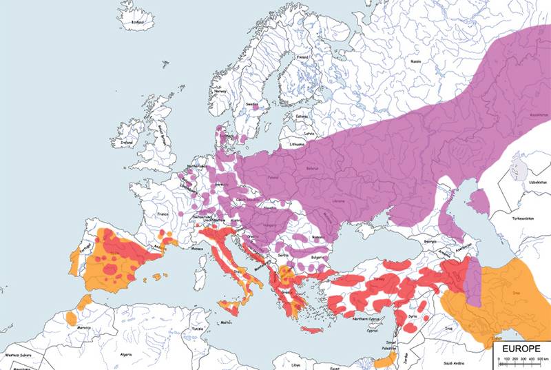 remiz, remiz zwyczajny - mapa