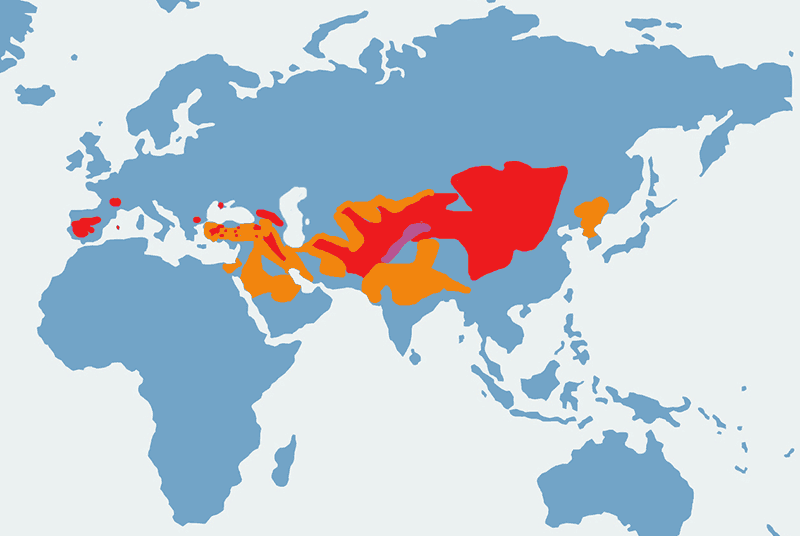 sęp kasztanowaty - mapa