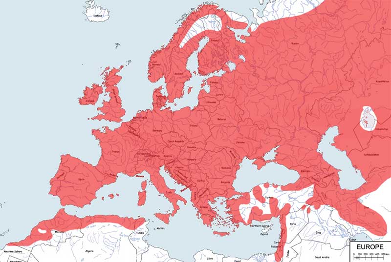 bogatka (zwyczajna) - mapa