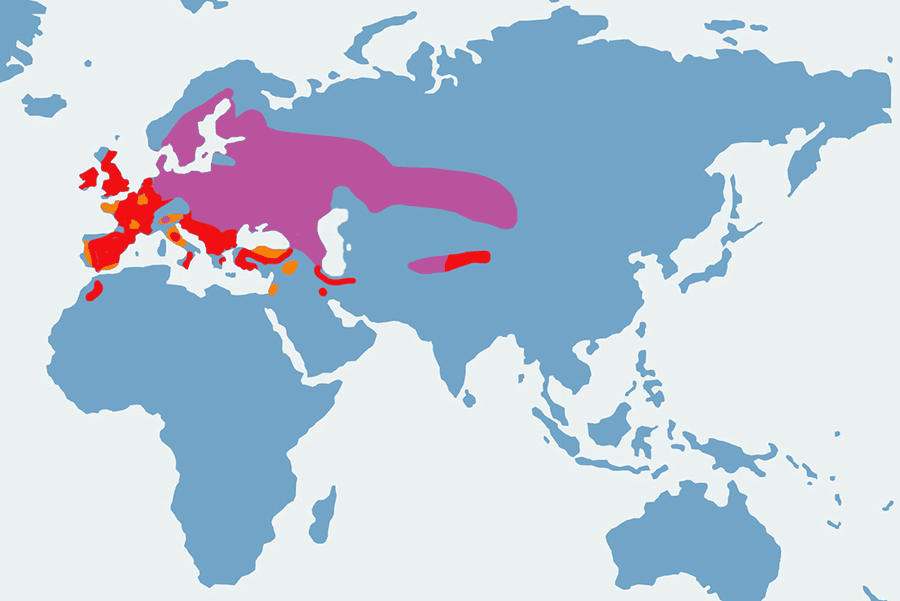 siniak - mapa
