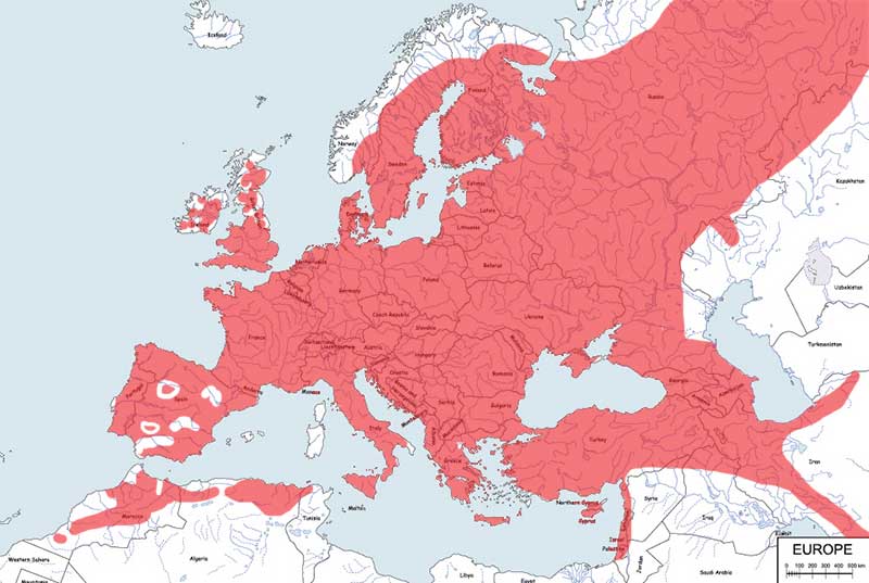 sójka (zwyczajna) - mapa