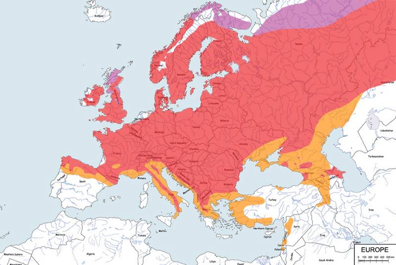 trznadel - mapa
