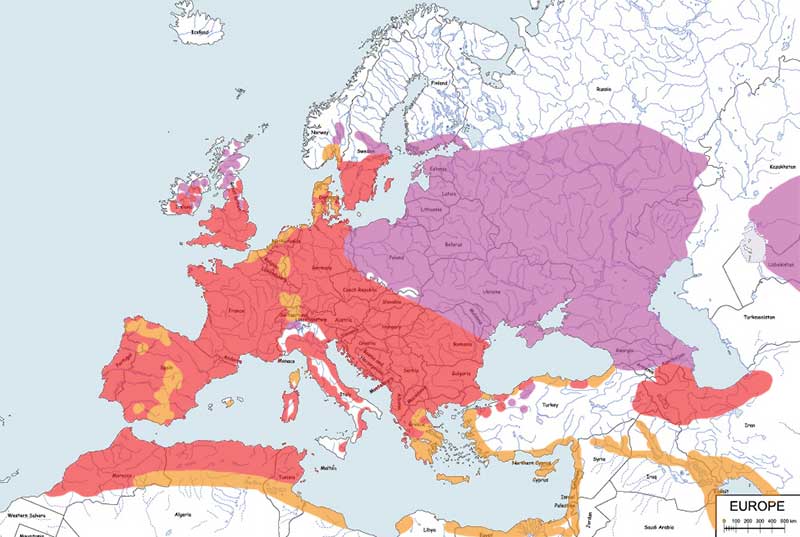 zimorodek (zwyczajny) - mapa