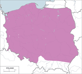 Błotniak stawowy - mapa występowania w Polsce