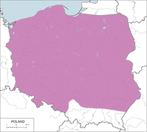 Błotniak stawowy – mapa występowania w Polsce