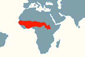 Błyszczak purpurowy - mapa występowania na świecie